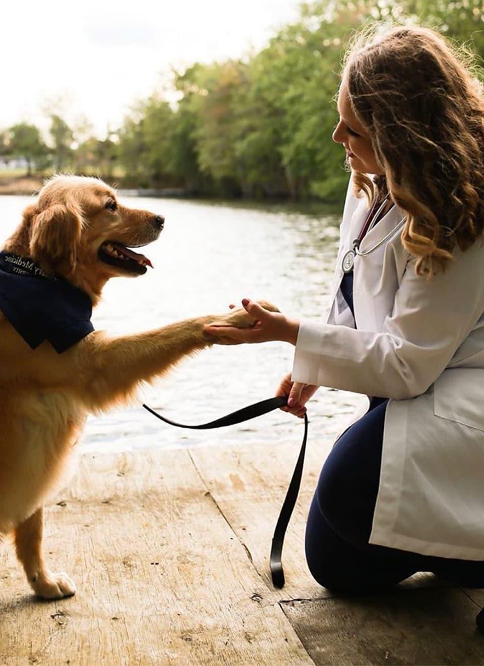 student checking dog